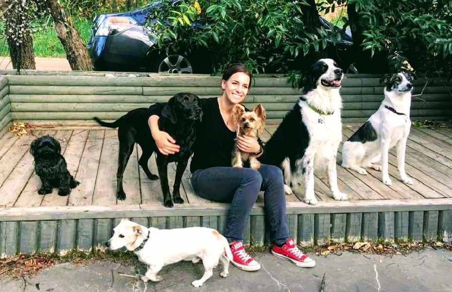 Lea Mestrovic sitting outside surrounded by six dogs of different breeds and sizes