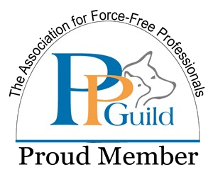 The Association of Force-Free Professionals