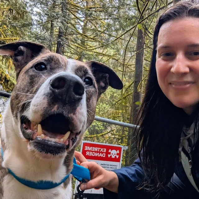 ❤️🐾 . . . #enrichmentfordogs #dogenrichment #treebathing #northvancouverdogs #vancouverbc