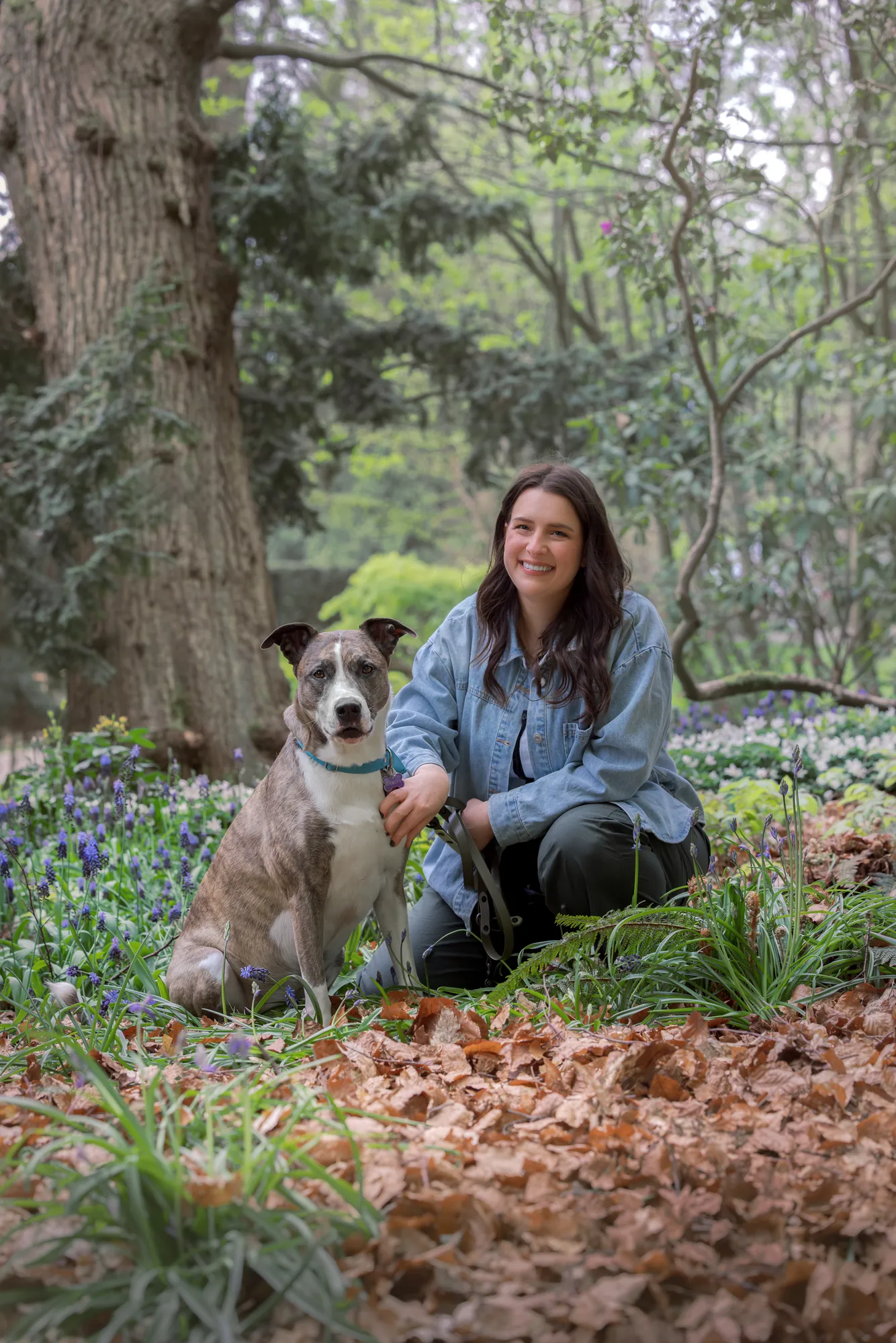 Lea Mestrovic kneeling beside her brindle dog among spring bluebells