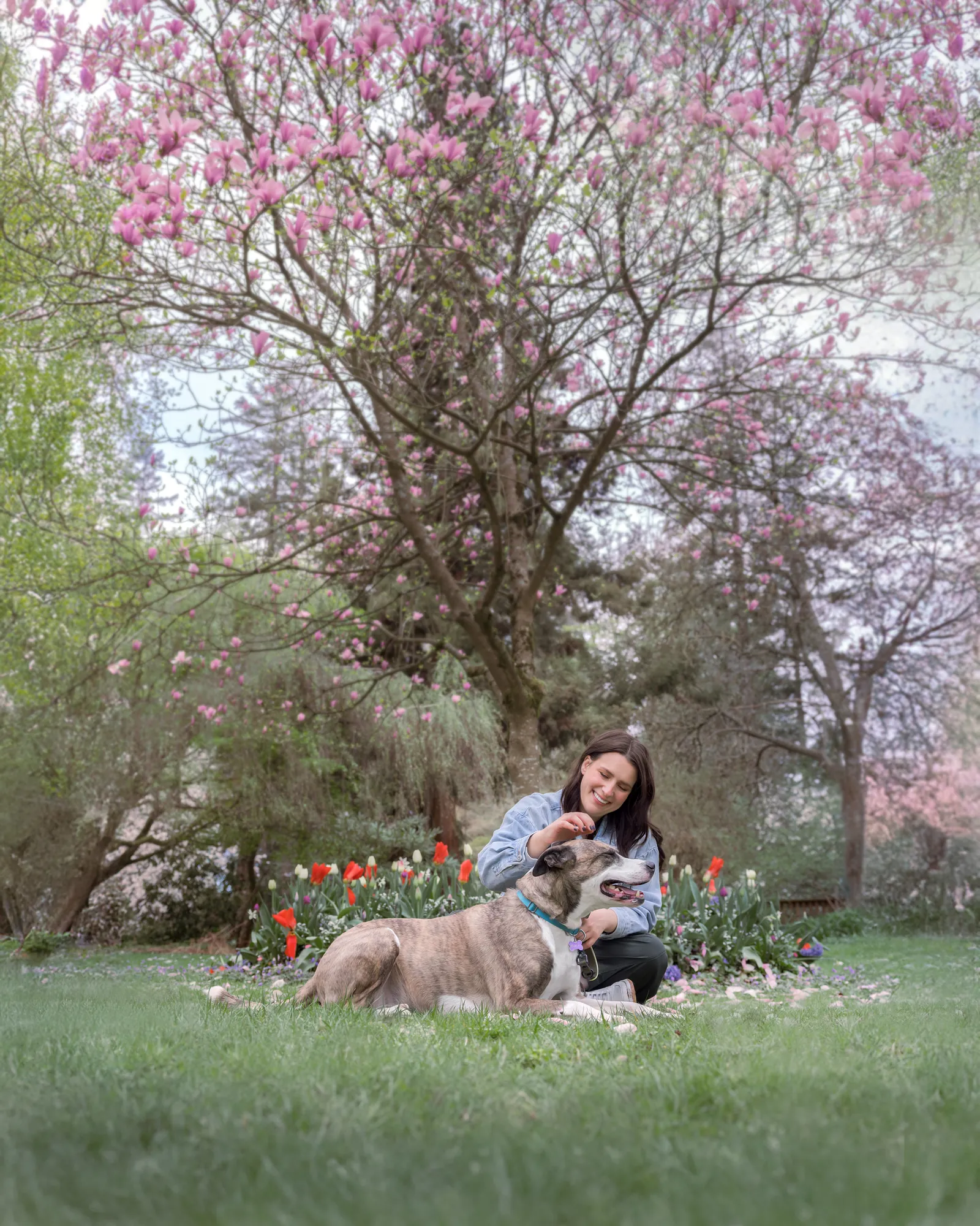 Lea Mestrovic with her dog under a magnolia tree in blossom