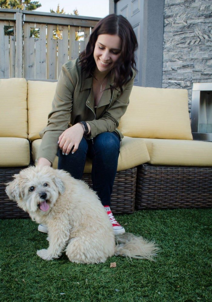 Dog trainer vancouver